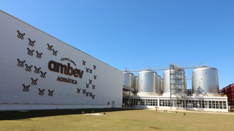 Carlos Lisboa será o novo CEO da Ambev a partir de 2025