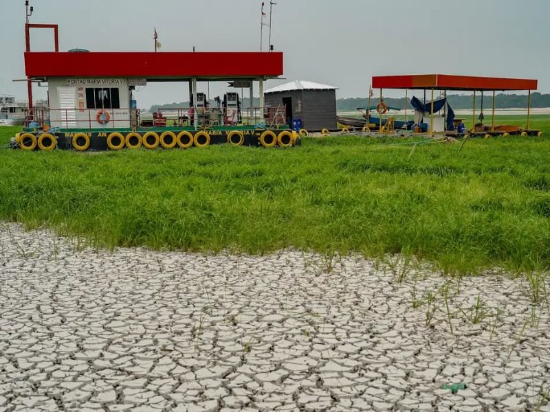 Seca de rios favorece caça e pesca ilegais na Amazônia