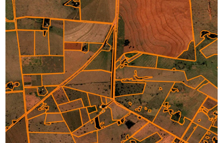 IBGE adota inteligência artificial para mapear áreas agrícolas no Brasil