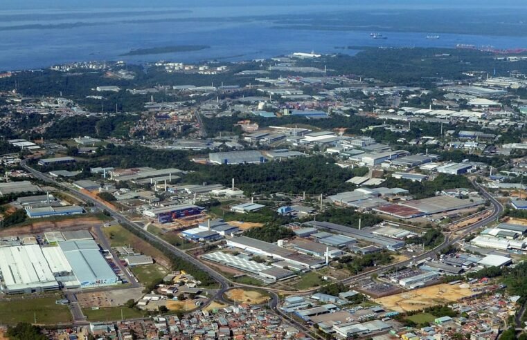 O Silêncio de uma Floresta Sem Voz: E se não houvesse a Suframa? ​