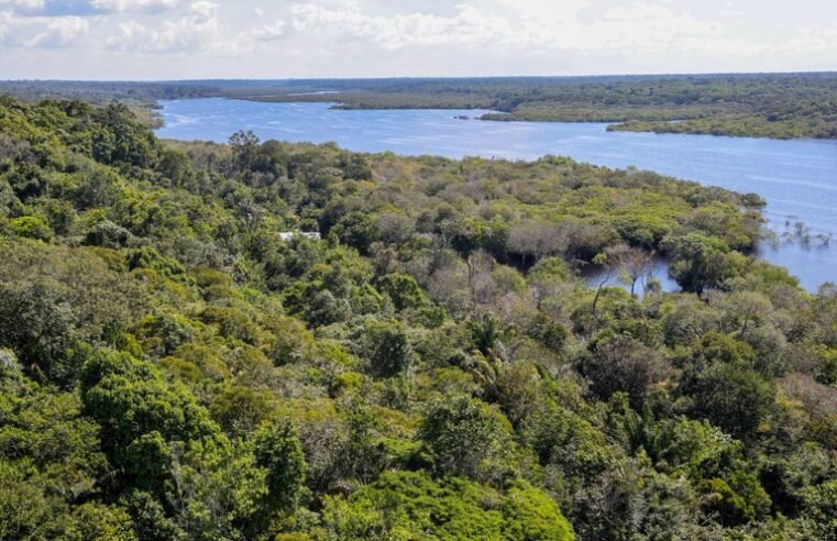 Governo do Brasil anuncia aporte de R$ 350 milhões do Fundo Amazônia para inovação na Amazônia Legal